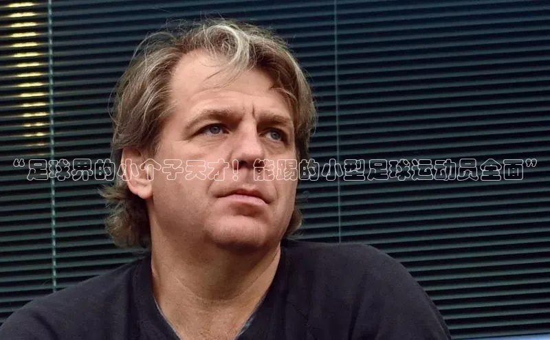 易游体育app下载文心一言“足球界的小个子天才！能踢的小型足球运动员全面”