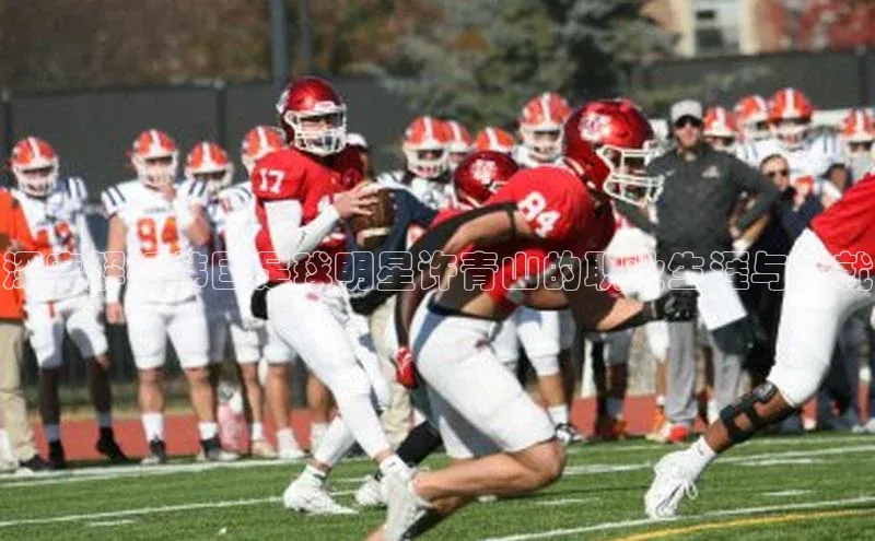 米乐·M6官网百度网盘企业版深度解析韩国足球明星许青山的职业生涯与成就