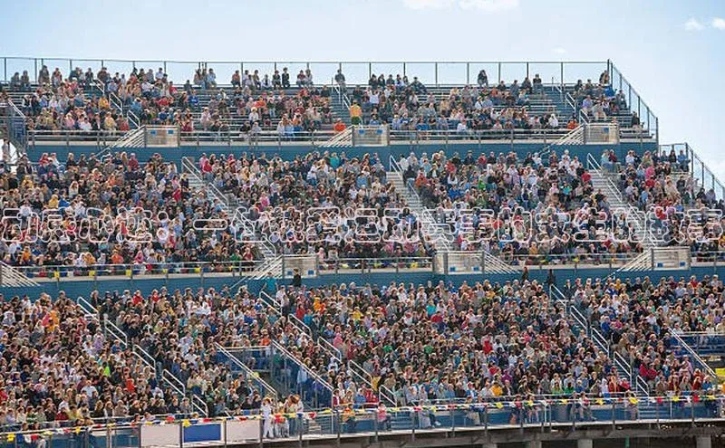 动感心迹：一位热爱运动赛事的女生的故事