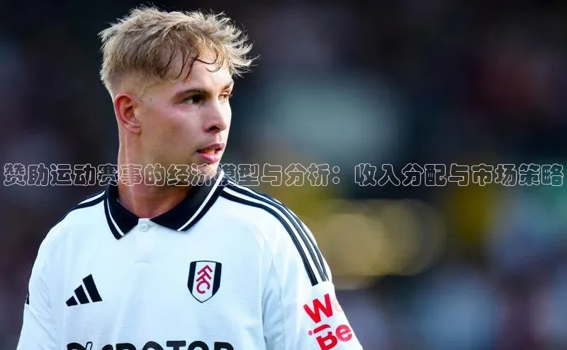 赞助运动赛事的经济模型与分析：收入分配与市场策略