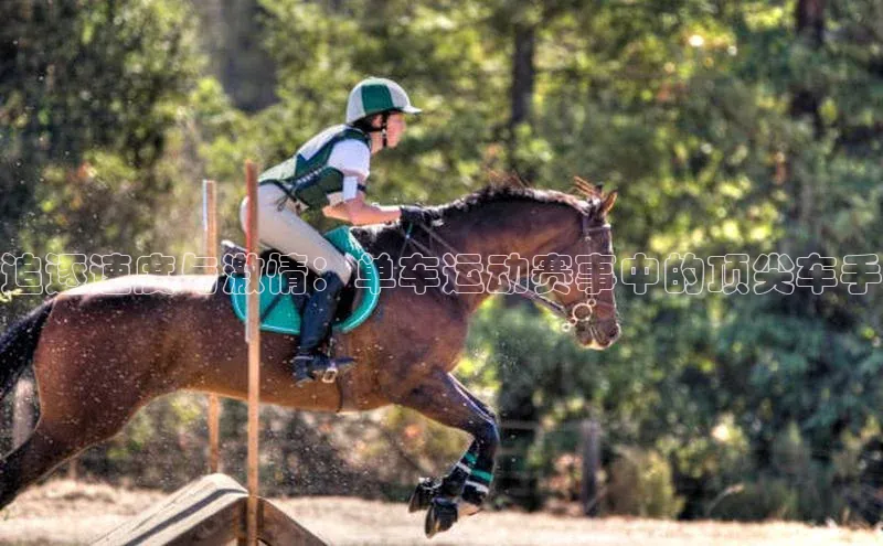 追逐速度与激情：单车运动赛事中的顶尖车手