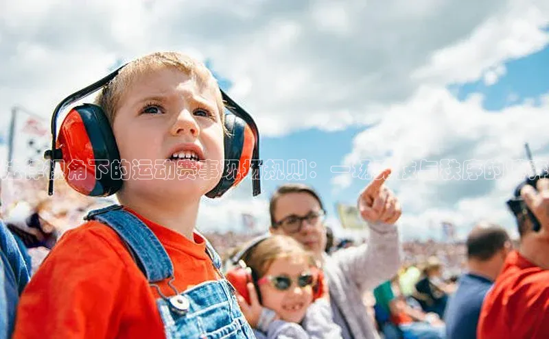 法律视角下的运动赛事现场规则：一场竞技与秩序的博弈