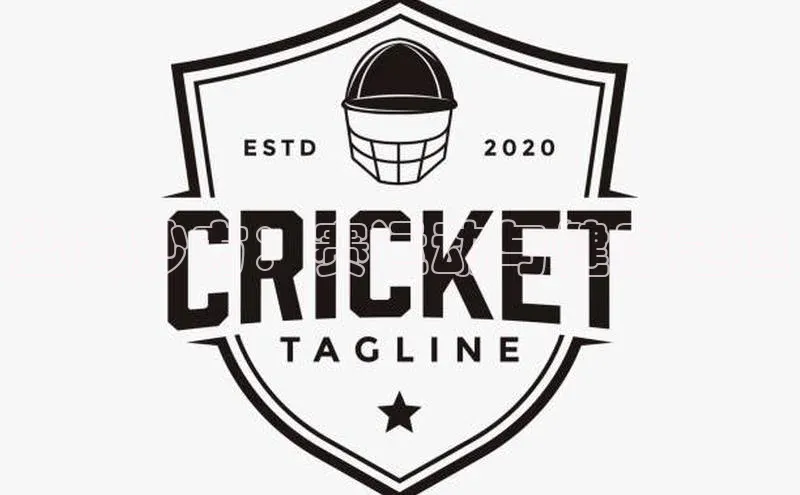 盐丸妙方：赛运动与健康之道