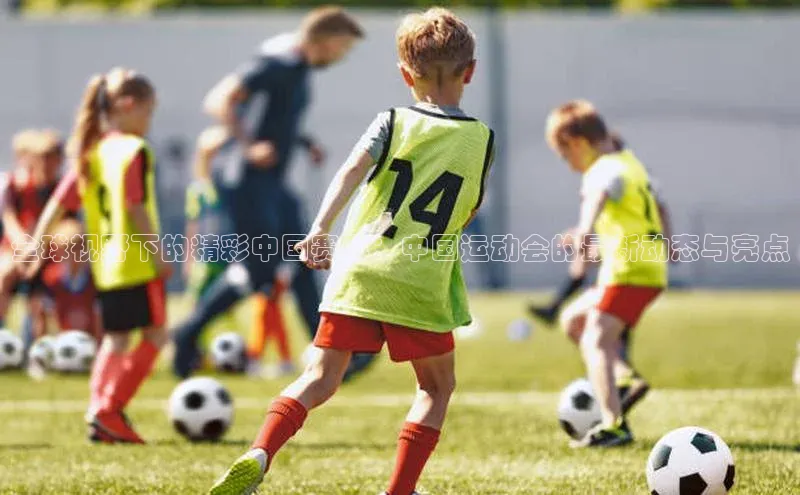 全球视野下的精彩中国赛事：中国运动会的最新动态与亮点