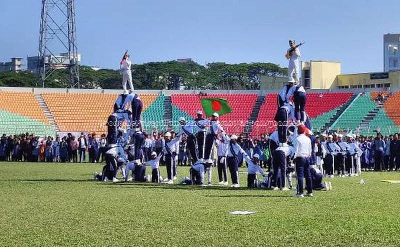 Sport:ThePulseofHumanEndeavorandGlobalDynamics