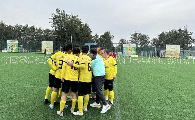 中国拳击运动崛起之路：从挑战到冠军的精彩旅程