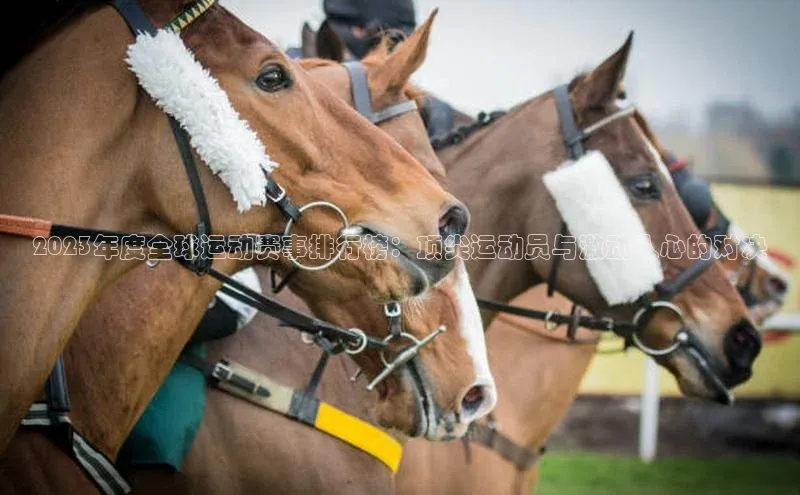 2023年度全球运动赛事排行榜：顶尖运动员与激动人心的对决