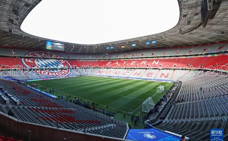 荣耀之路：专业体育赛事中的运动员成才之路