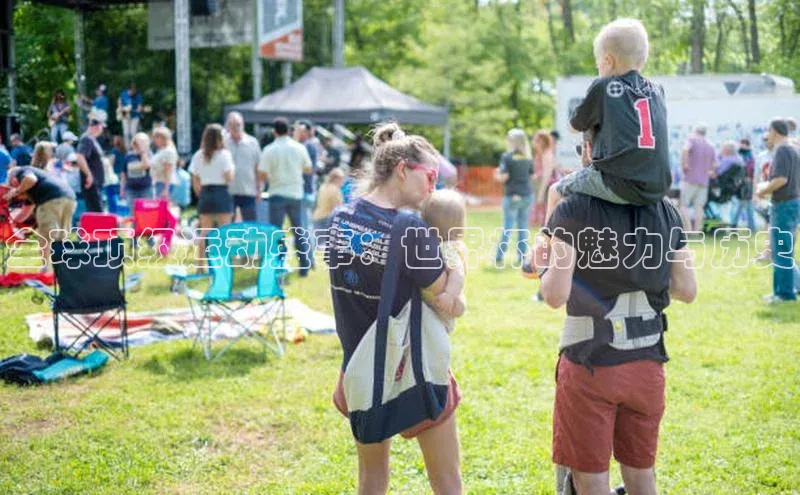 全球顶级运动盛事：世界杯的魅力与历史