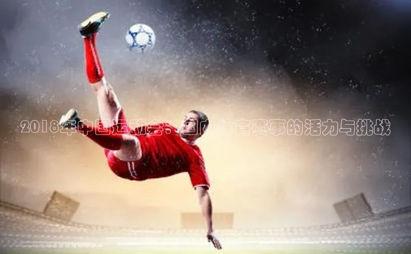 2018年中国运动会：国内体育赛事的活力与挑战