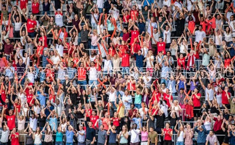 燃情赛场：专业视角下的运动赛事出镜报道