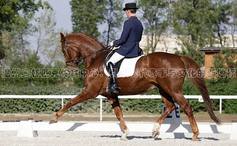 温州奥林匹克体育中心：引领现代赛事与文化的新地标