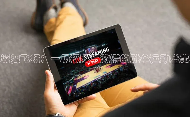 翼舞飞扬：一场极限与激情的跳伞运动盛事