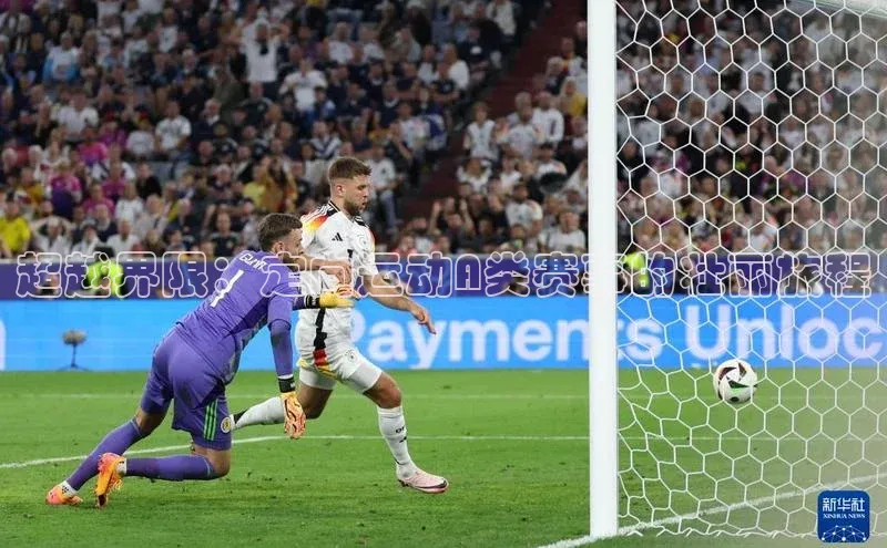 超越界限：定向运动A类赛事的壮丽旅程