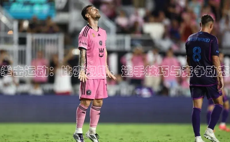 拳击运动：比赛规则、选手技巧与竞争动态