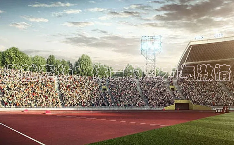 激越赛场：体育的魅力与激情