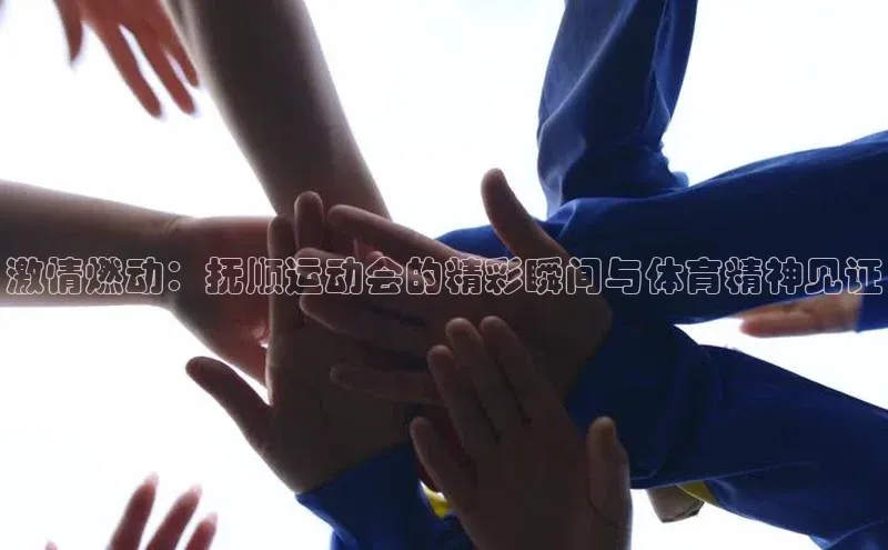 激情燃动：抚顺运动会的精彩瞬间与体育精神见证