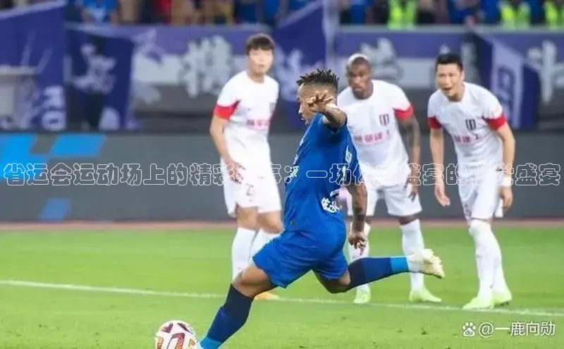 省运会运动场上的精彩赛事：一场体育盛宴的视觉盛宴