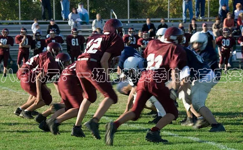 米乐yy易游体育官网