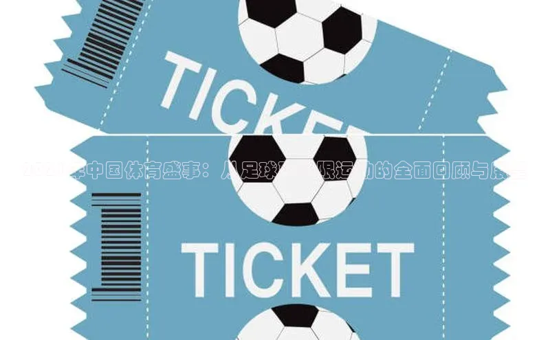 2021年中国体育盛事：从足球到极限运动的全面回顾与展望