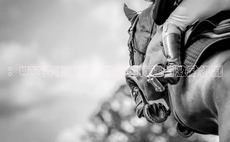 ：WTT赛事运动员的卓越待遇与激励机制