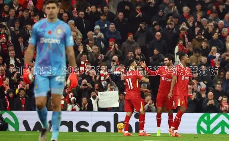 中国力量：2023年度国内体育盛事与深度分析