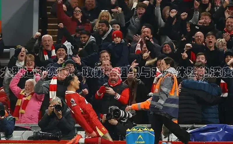 大型运动赛事：政策、组织与观众体验的深度