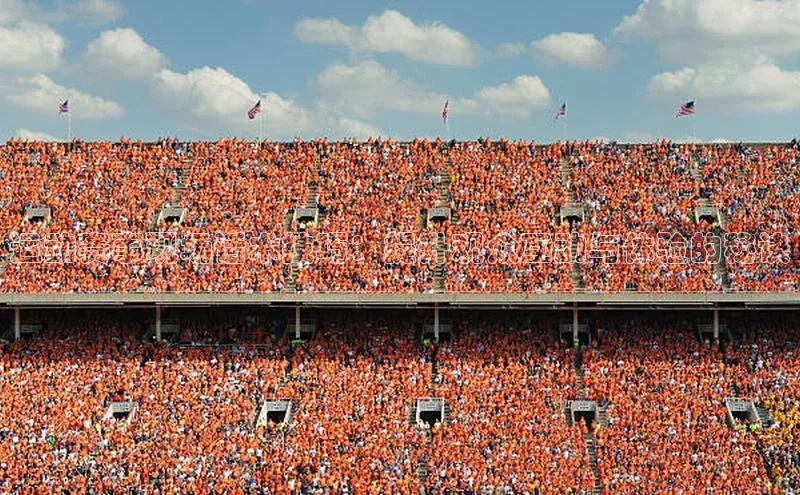 运动赛事现场话术技巧：提升观众互动与体验的秘诀