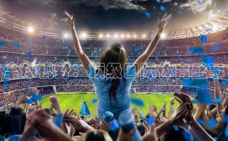 全球视野：顶级国际体育盛事